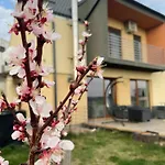 Apartament Garsonierǎ la curte si ciubǎr extracost