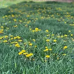 Garsonierǎ la curte si ciubǎr extracost Cluj-Napoca