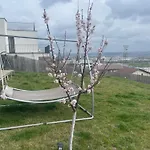 Garsonierǎ la curte si ciubǎr extracost