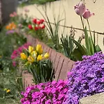 Garsonierǎ la curte si ciubǎr extracost Apartament Cluj-Napoca