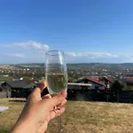 Apartament Garsonierǎ la curte si ciubǎr extracost *