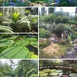 Apartament Garsonierǎ la curte si ciubǎr extracost