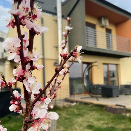 Apartamento Garsonierǎ La Curte Si Ciubǎr Extracost