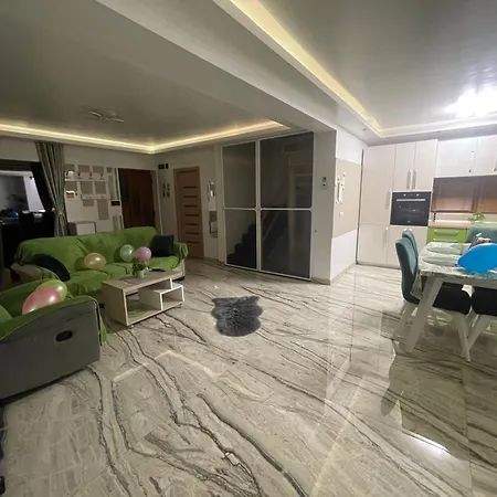 Garsoniera La Curte Apartment