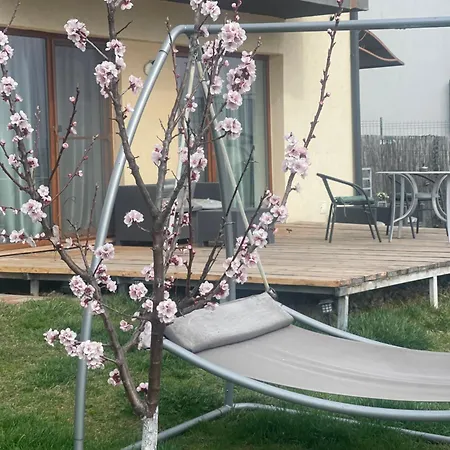 Apartamento Garsonierǎ La Curte Si Ciubǎr Extracost *