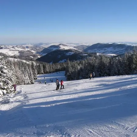 Garsoniera La Curte Si Ciubar Extracost Διαμέρισμα *