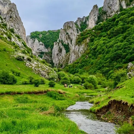 Appartement Garsoniera La Curte Si Ciubar Extracost *