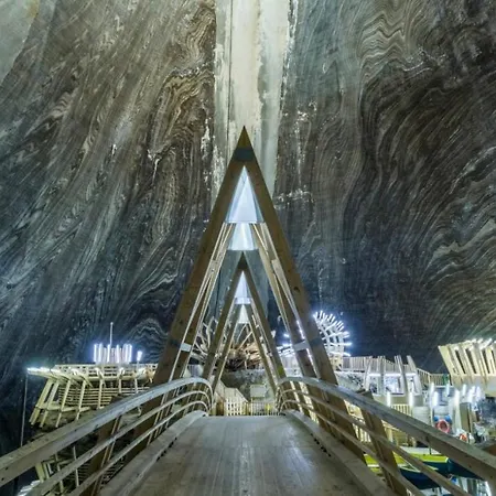 Διαμέρισμα Garsoniera La Curte Si Ciubar Extracost Κλουζ-Ναπόκα