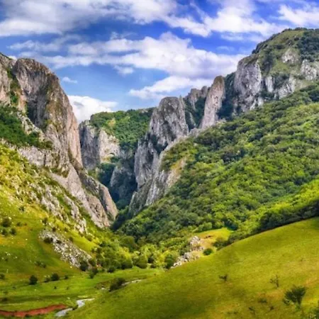 Garsonierǎ La Curte Si Ciubǎr Extracost Cluj-Napoca