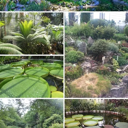 Apartamento Garsonierǎ La Curte Si Ciubǎr Extracost