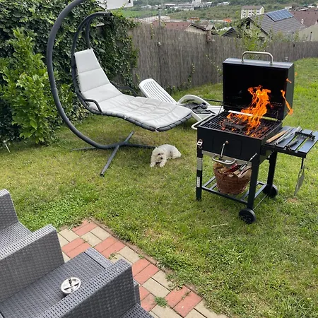 Garsonierǎ La Curte Si Ciubǎr Extracost