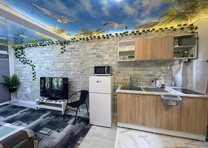 Apartament Garsonierǎ La Curte Cu Ciubǎr *