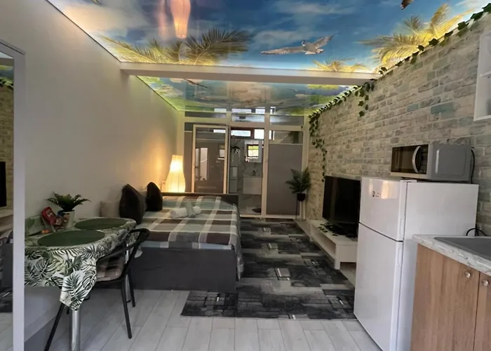 Apartament Garsonierǎ La Curte Cu Ciubǎr