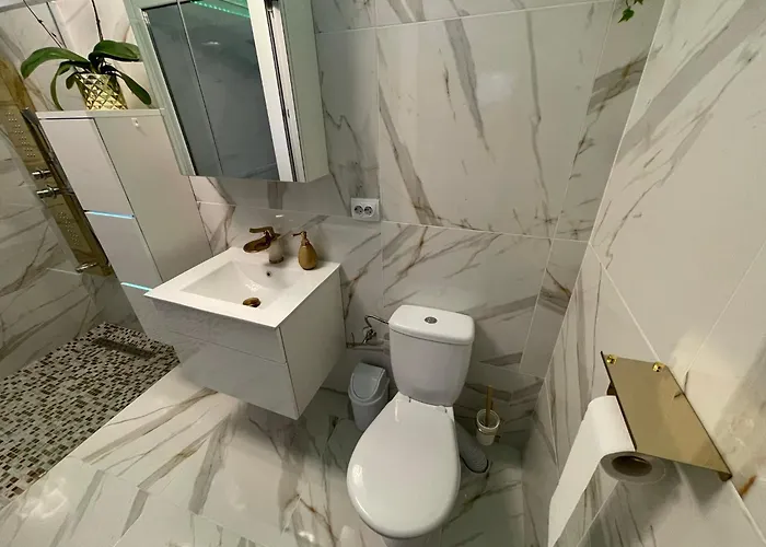 Garsonierǎ La Curte Cu Ciubǎr Apartament *