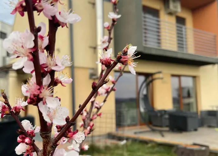 Apartmán Garsoniera La Curte Si Ciubar Extracost
