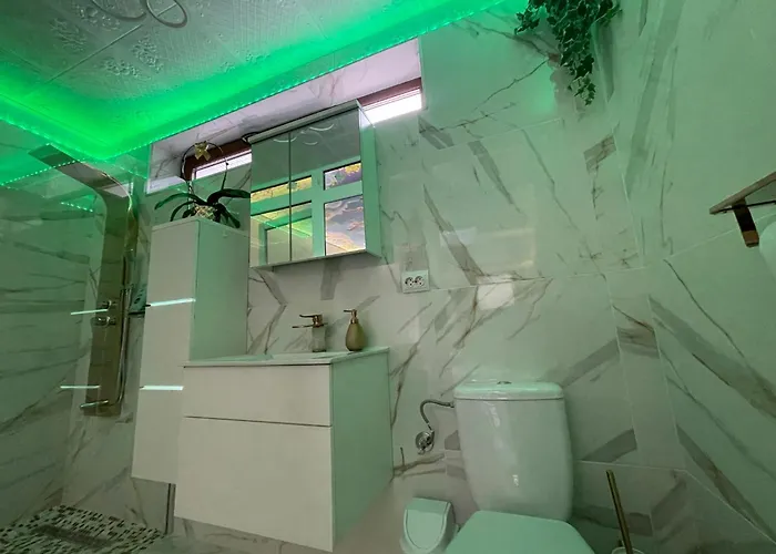 Apartament Garsonierǎ La Curte Cu Ciubǎr