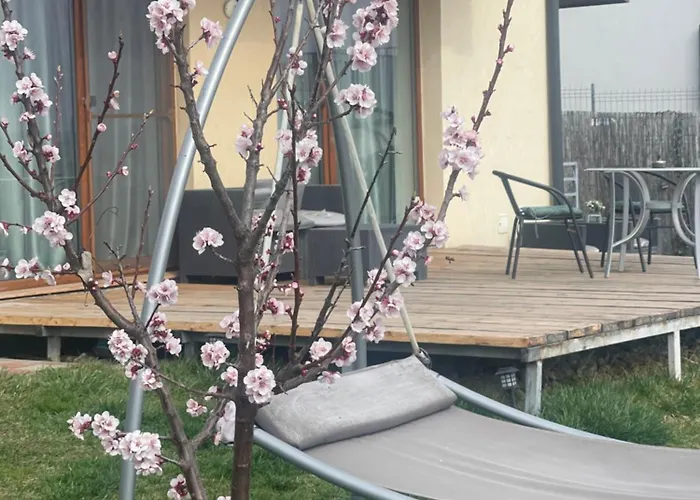 Apartament Garsonierǎ La Curte Cu Ciubǎr *