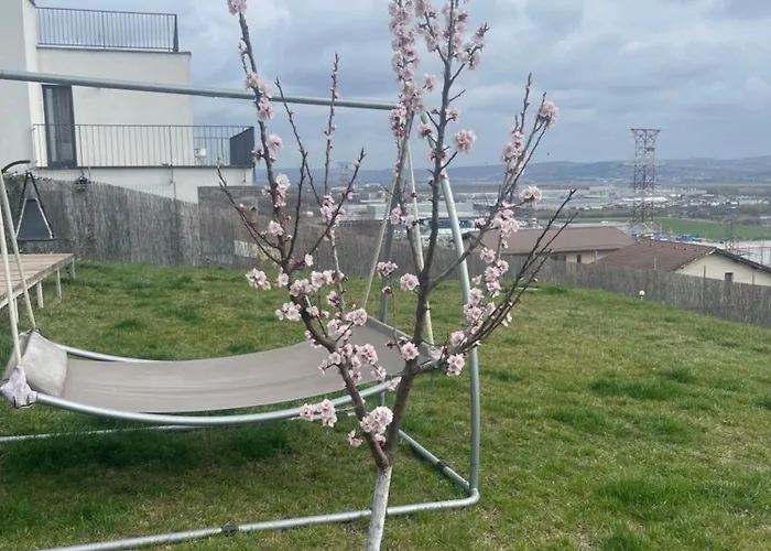 Garsonierǎ La Curte Cu Ciubǎr