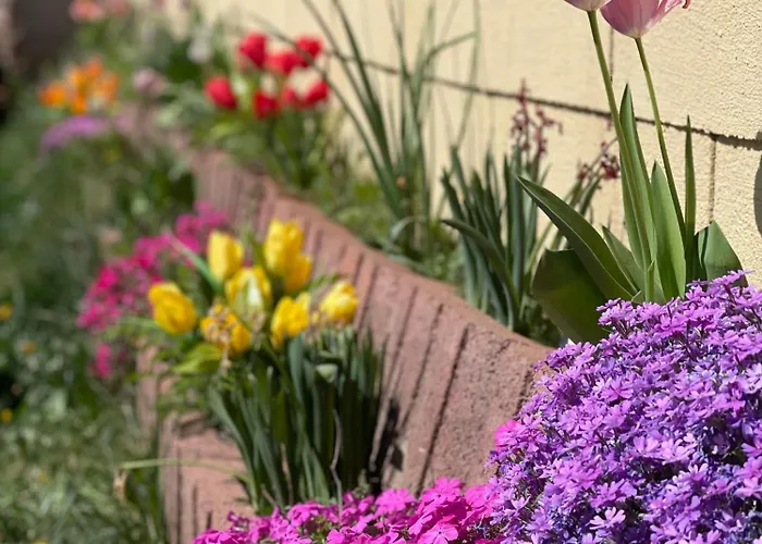 Garsonierǎ La Curte Cu Ciubǎr Apartament Cluj-Napoca