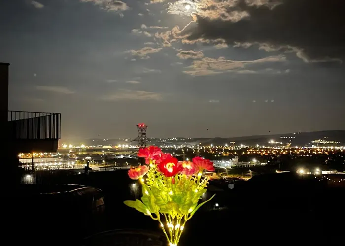 Garsonierǎ La Curte Cu Ciubǎr Apartament Cluj-Napoca