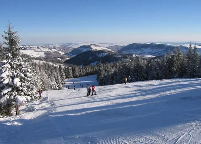 Garsoniera La Curte Si Ciubar Extracost Apartmán *