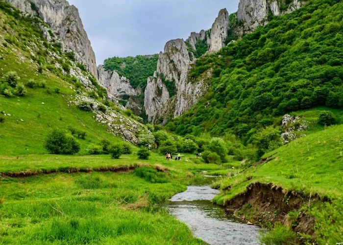 Apartmán Garsoniera La Curte Si Ciubar Extracost *