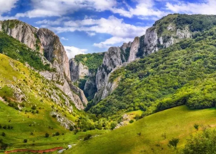 Garsoniera La Curte Si Ciubar Extracost Kluž