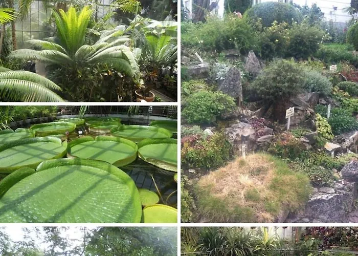 Apartmán Garsoniera La Curte Si Ciubar Extracost