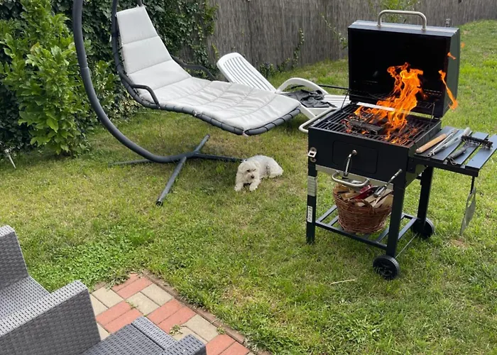 Garsonierǎ La Curte Cu Ciubǎr